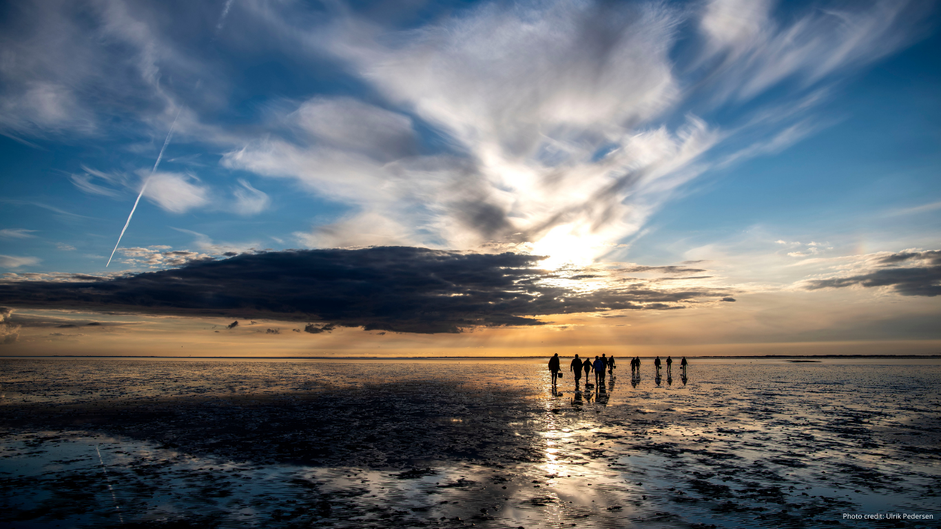15th Trilateral Governmental Conference on the Protection of the Wadden Sea